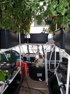 Christy's Greenhouse Aquaponics System