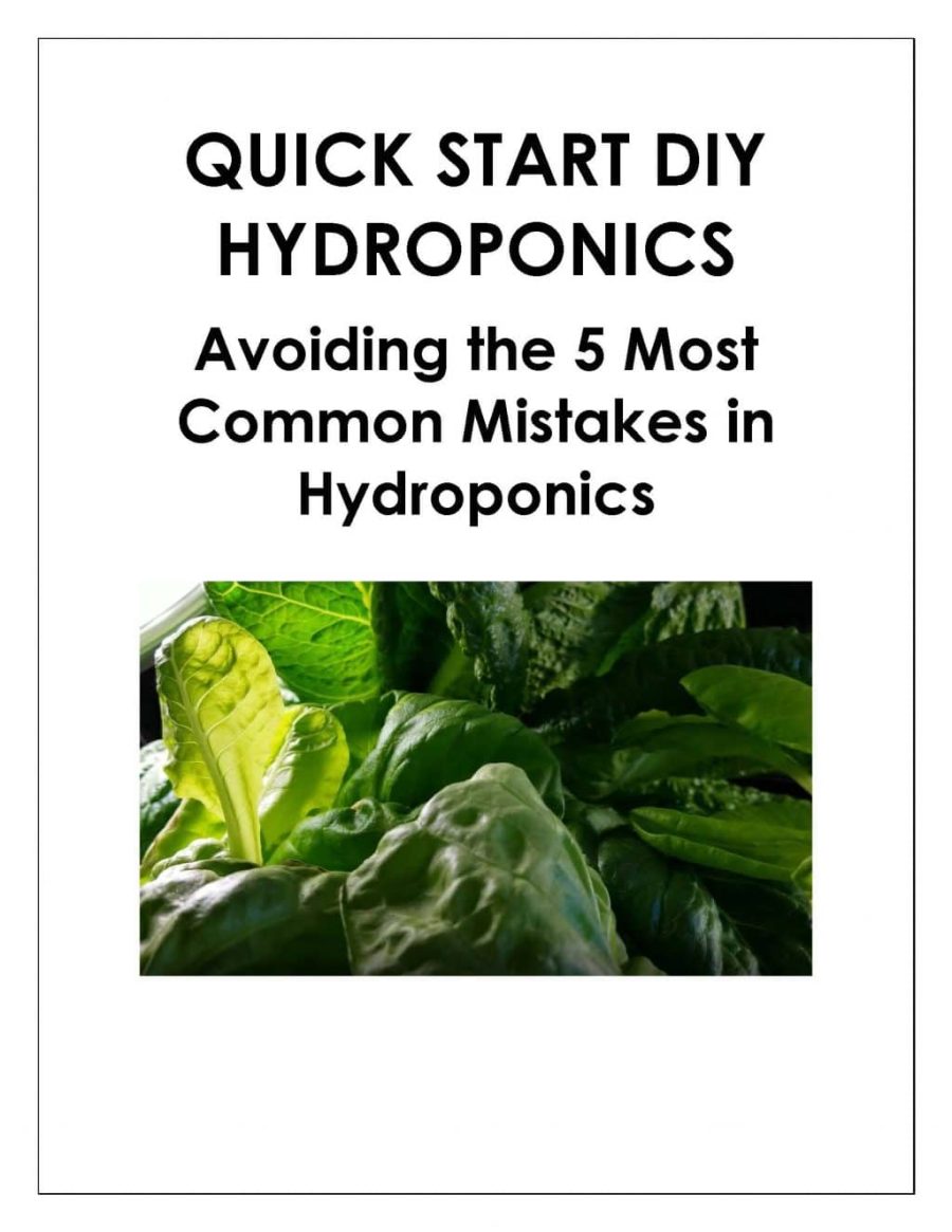 Avoiding 5 Common Mistakes in Hydroponics
