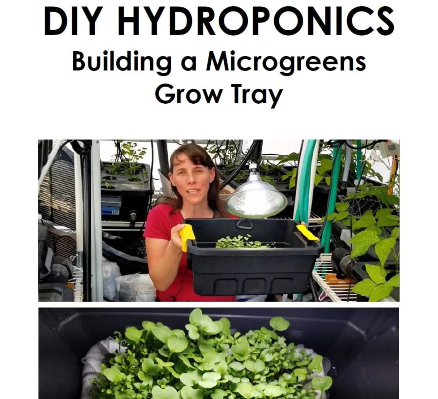 Building a Microgreens Grow Tray