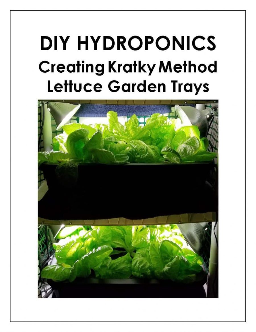 Creating Kratky Lettuce Garden Trays