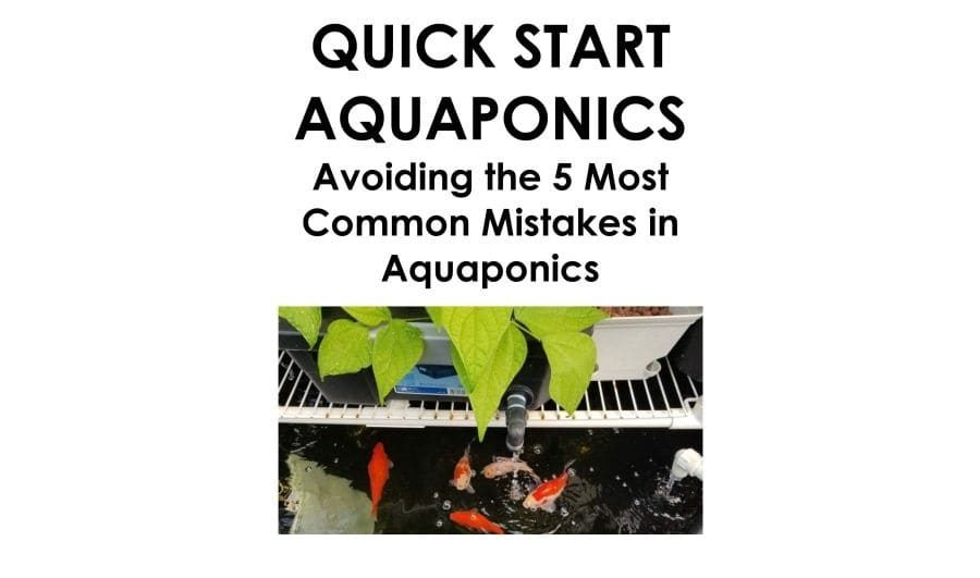Quick Start Aquaponics - Avoiding Mistakes