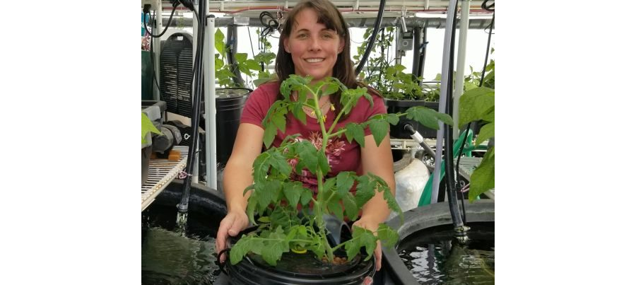 DWC Grow Bucket Instructions